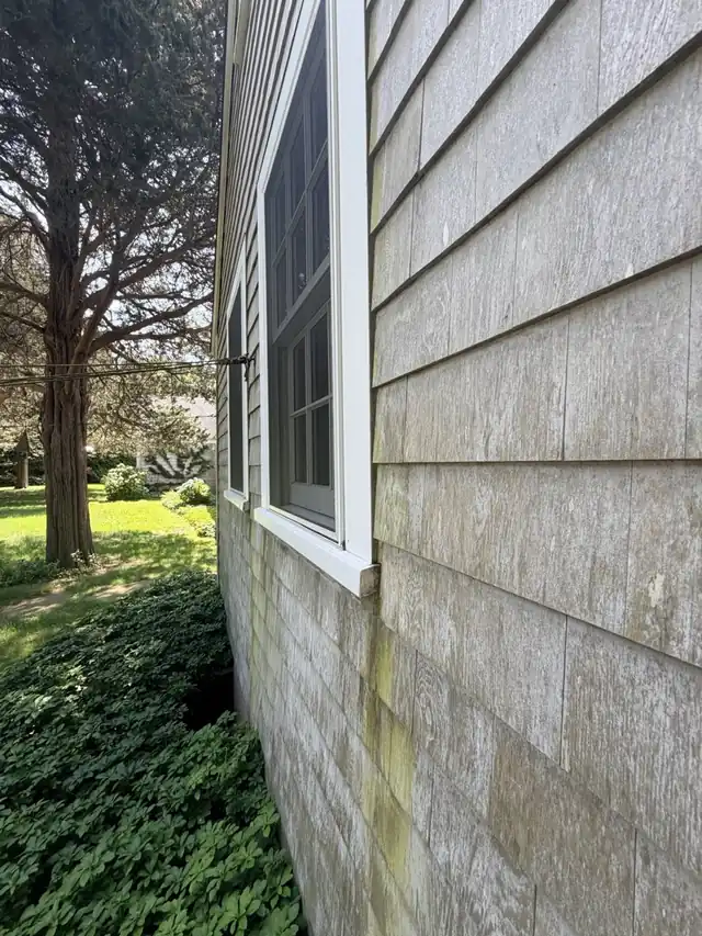Green streaks of mold and algae running down cedar siding below a window